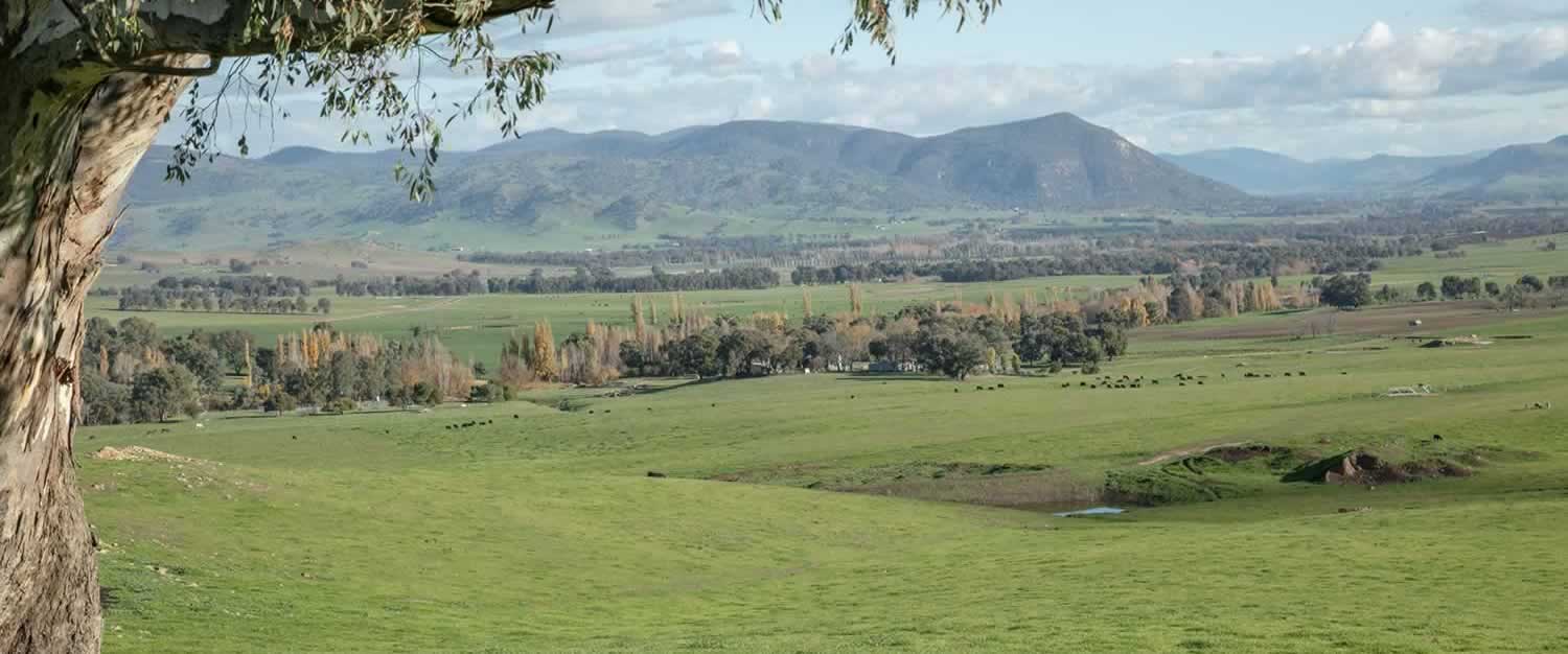 for-sale-kapsch-farms