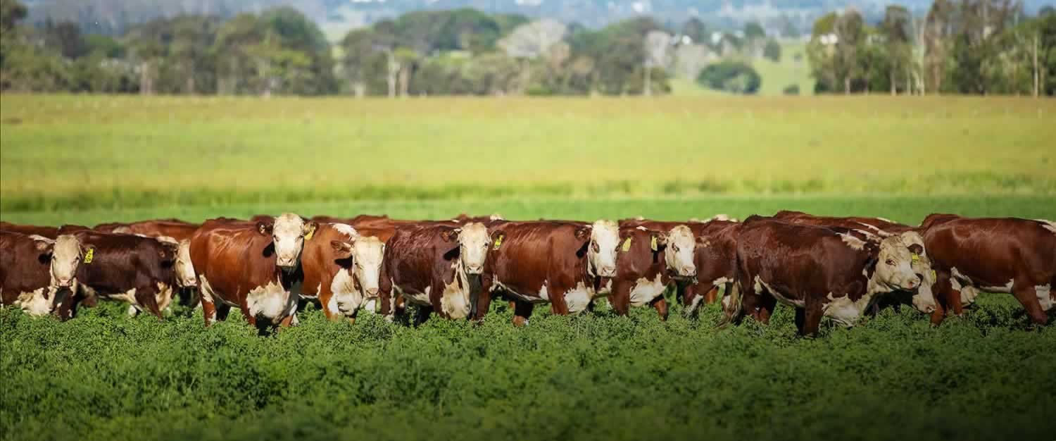 for-sale-kapsch-farms