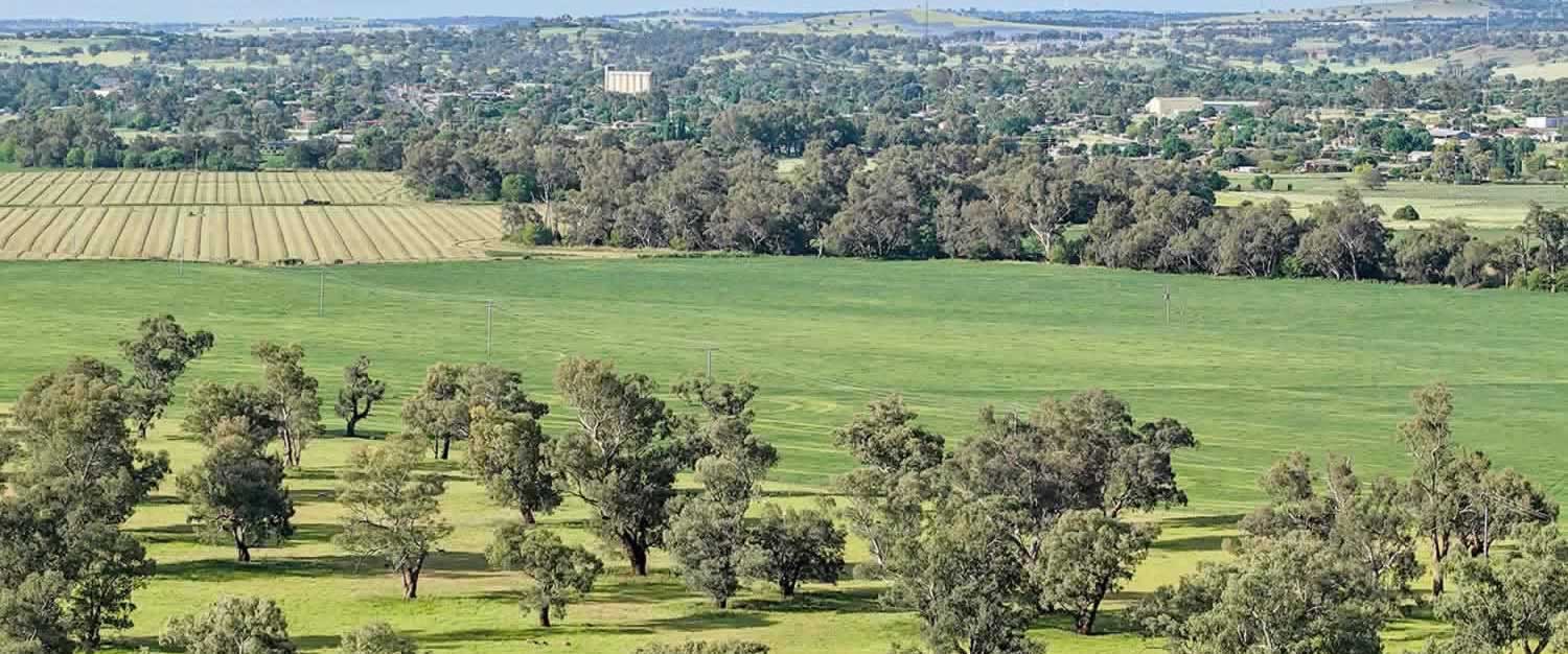 for-sale-kapsch-farms