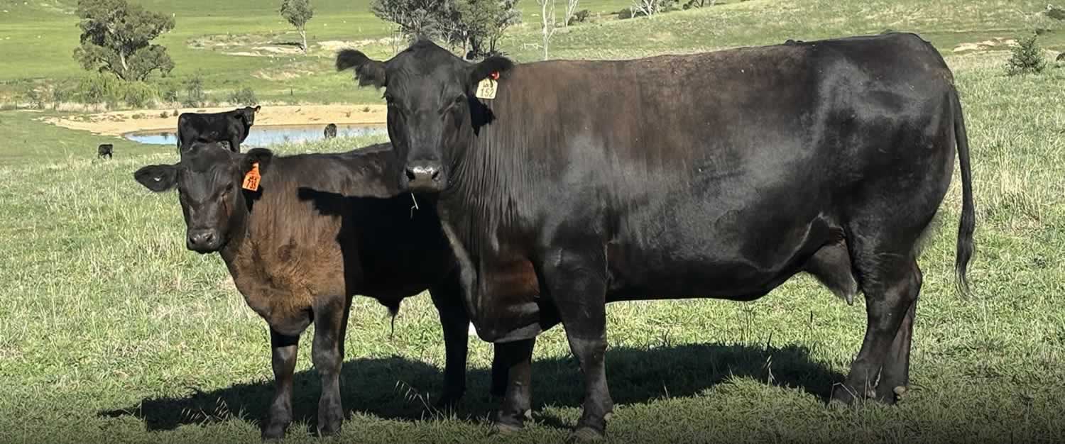 for-sale-kapsch-farms