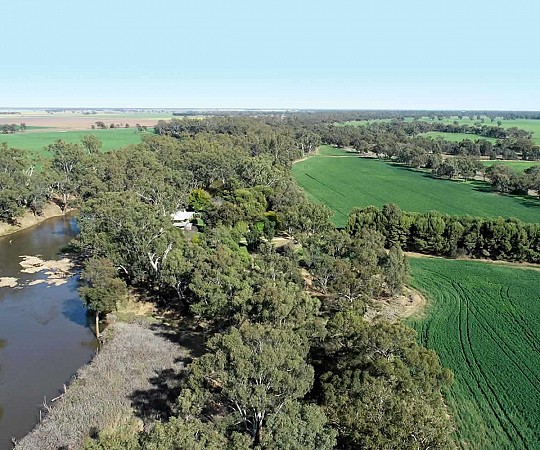 bowen park rural property for sale NSW
