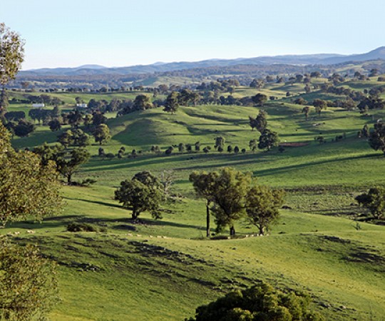 umbango property for sale nsw