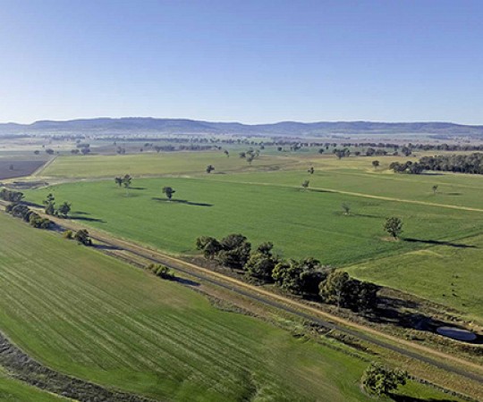 NSW property for sale - Kapsch Farms Coolah