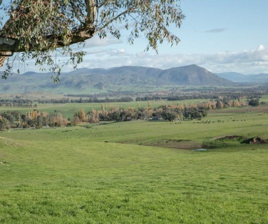 NSW property for sale - Ardenside Station Tooma Upper Murray NSW