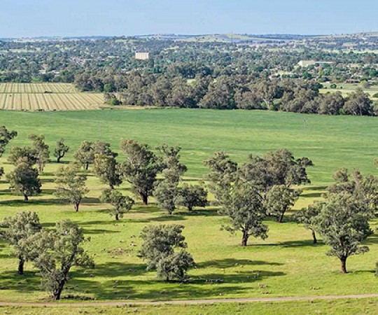 NSW property for sale - Warrengunyah