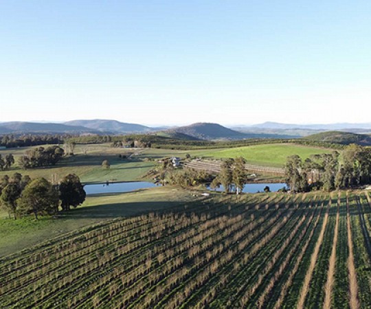NSW property for sale - DuFruits Farms Willigobung