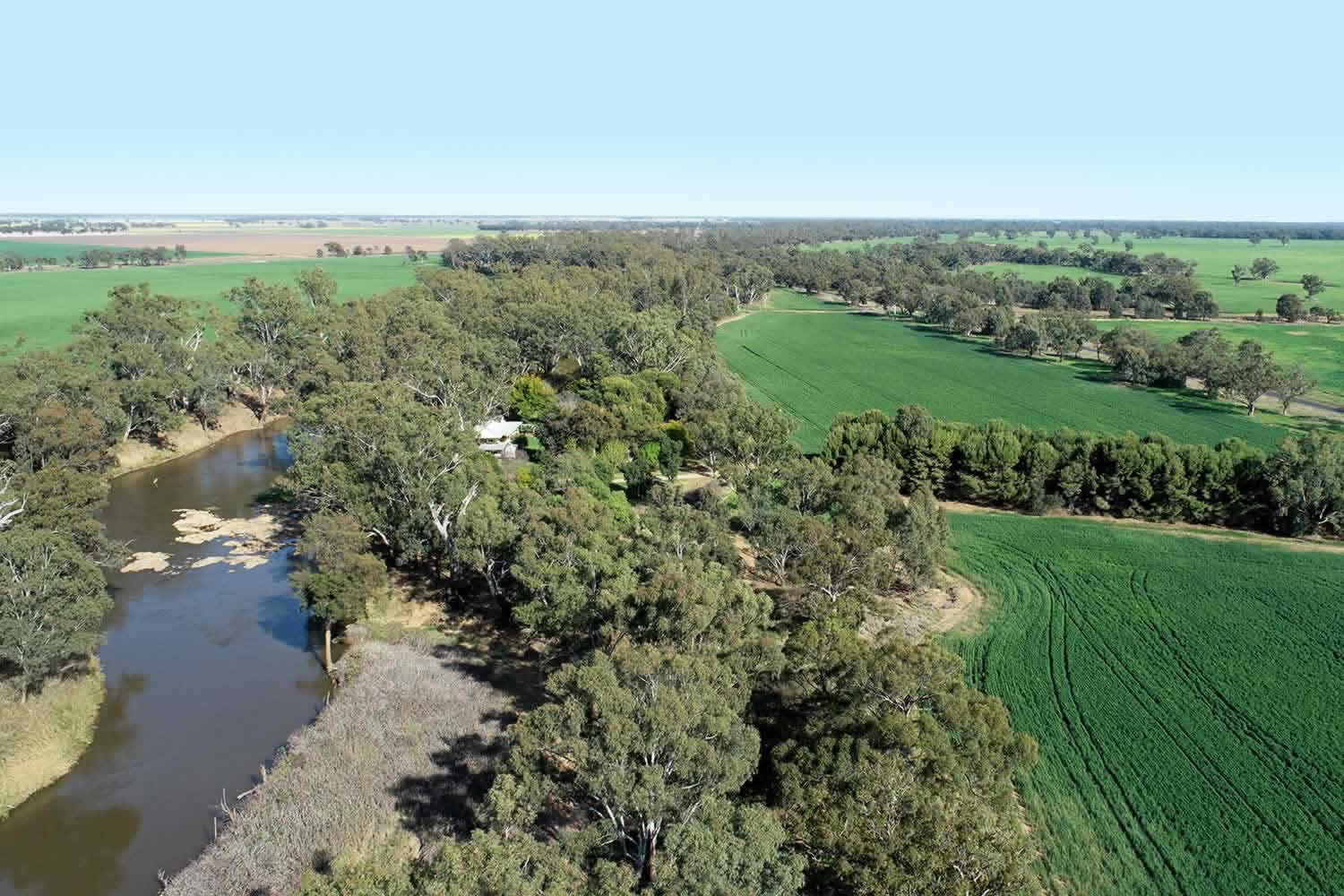 bowen park rural property for sale NSW