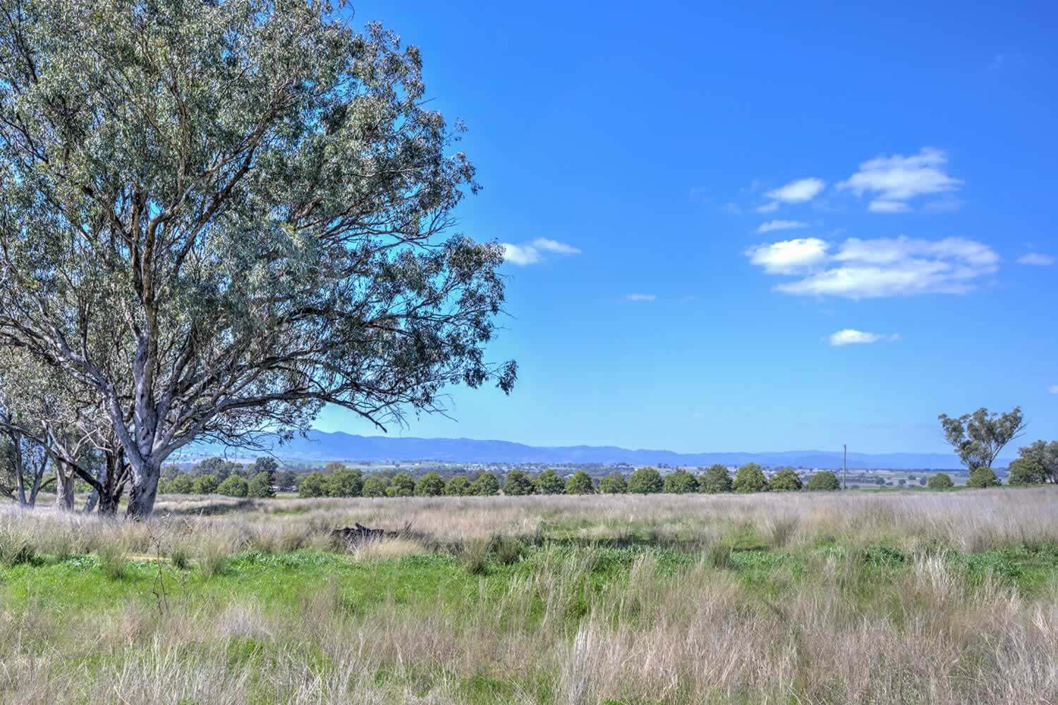 tamworth-nsw-property-sale-tringabah-11