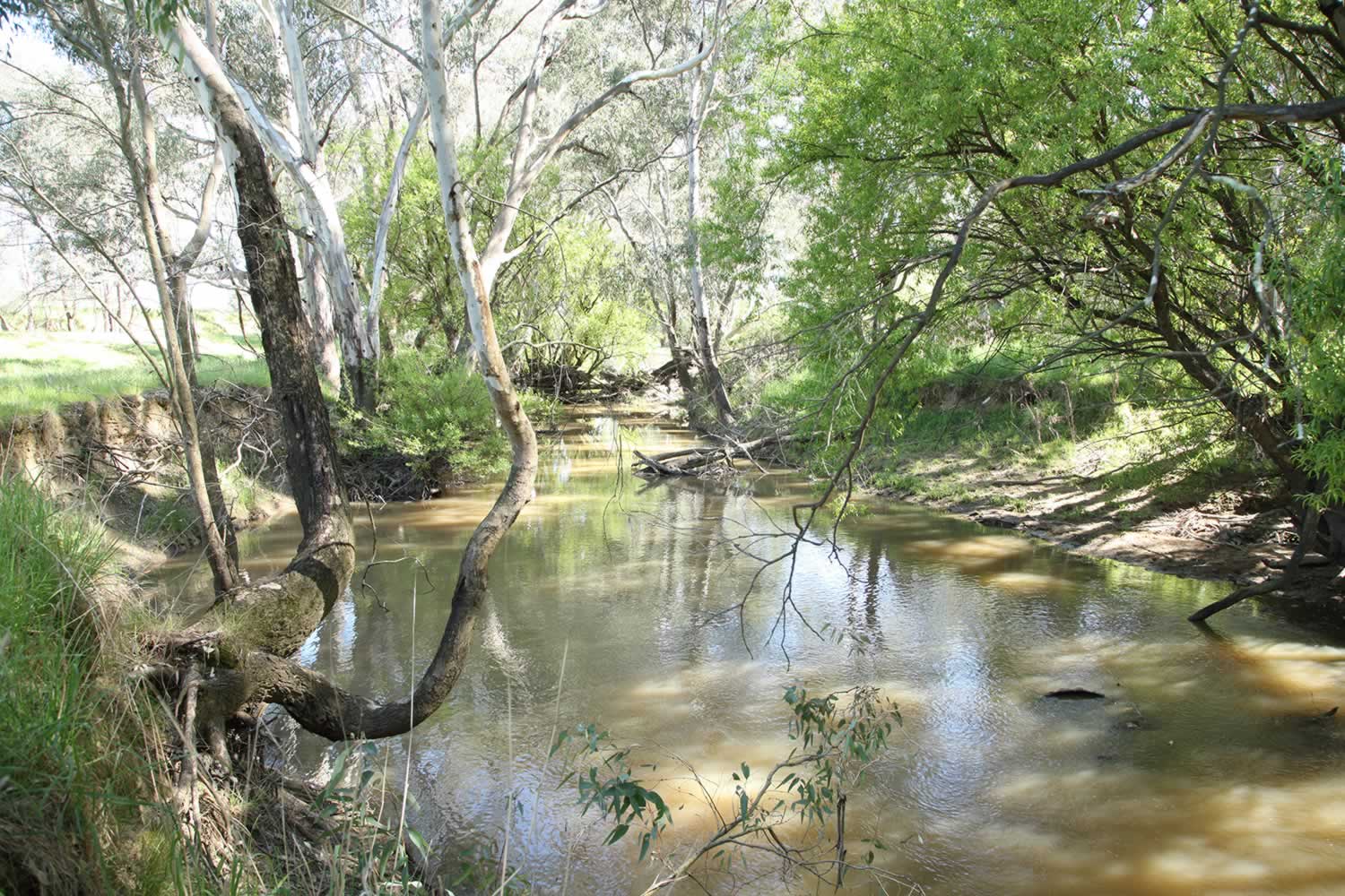 umbango-property-for-sale-nsw-3