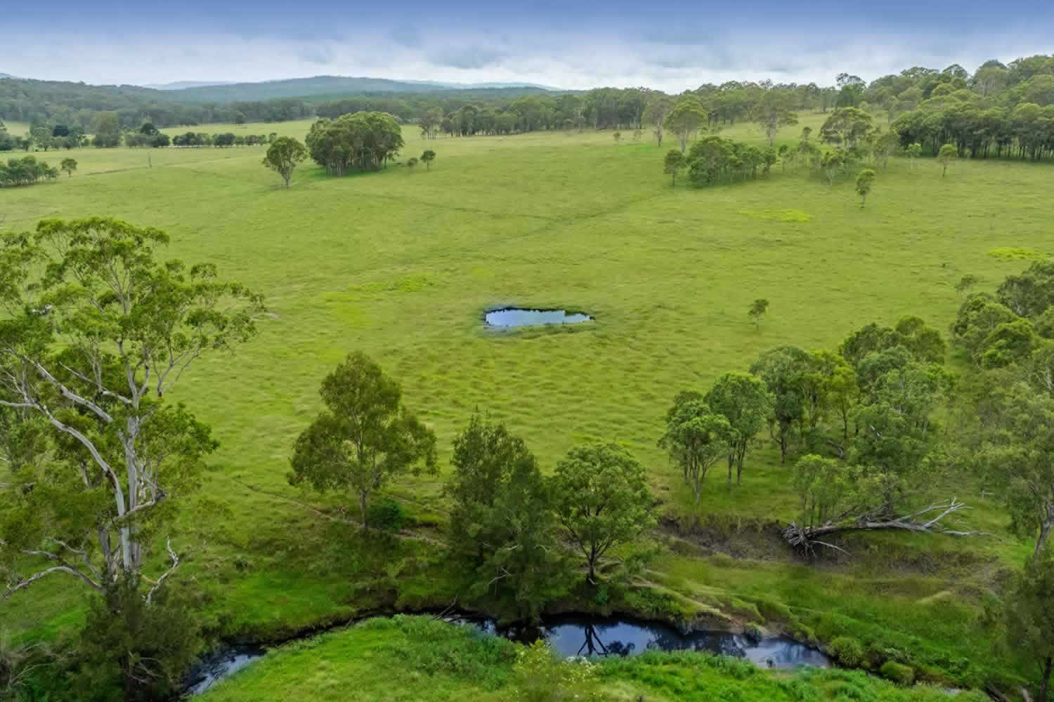 Avondale Legume NSW nsw property for sale