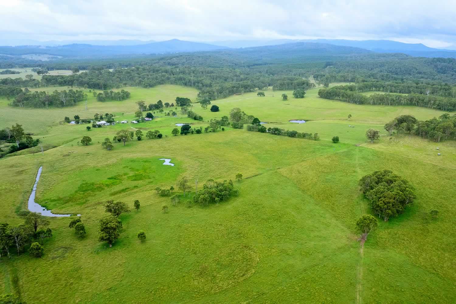 Avondale Legume NSW nsw property for sale