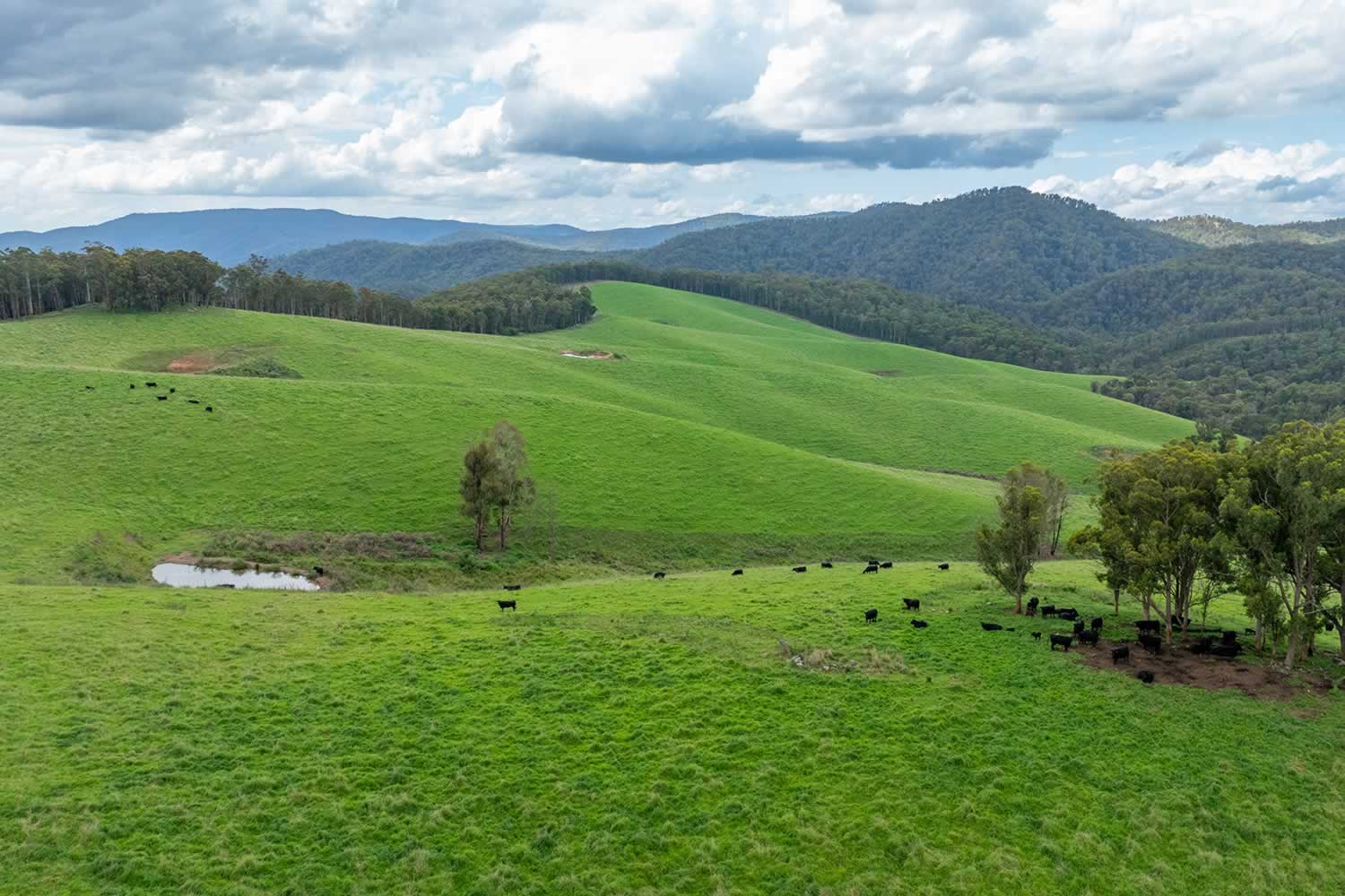 mcphee farms for sale Walcha, Yarrowitch,Northern NSW