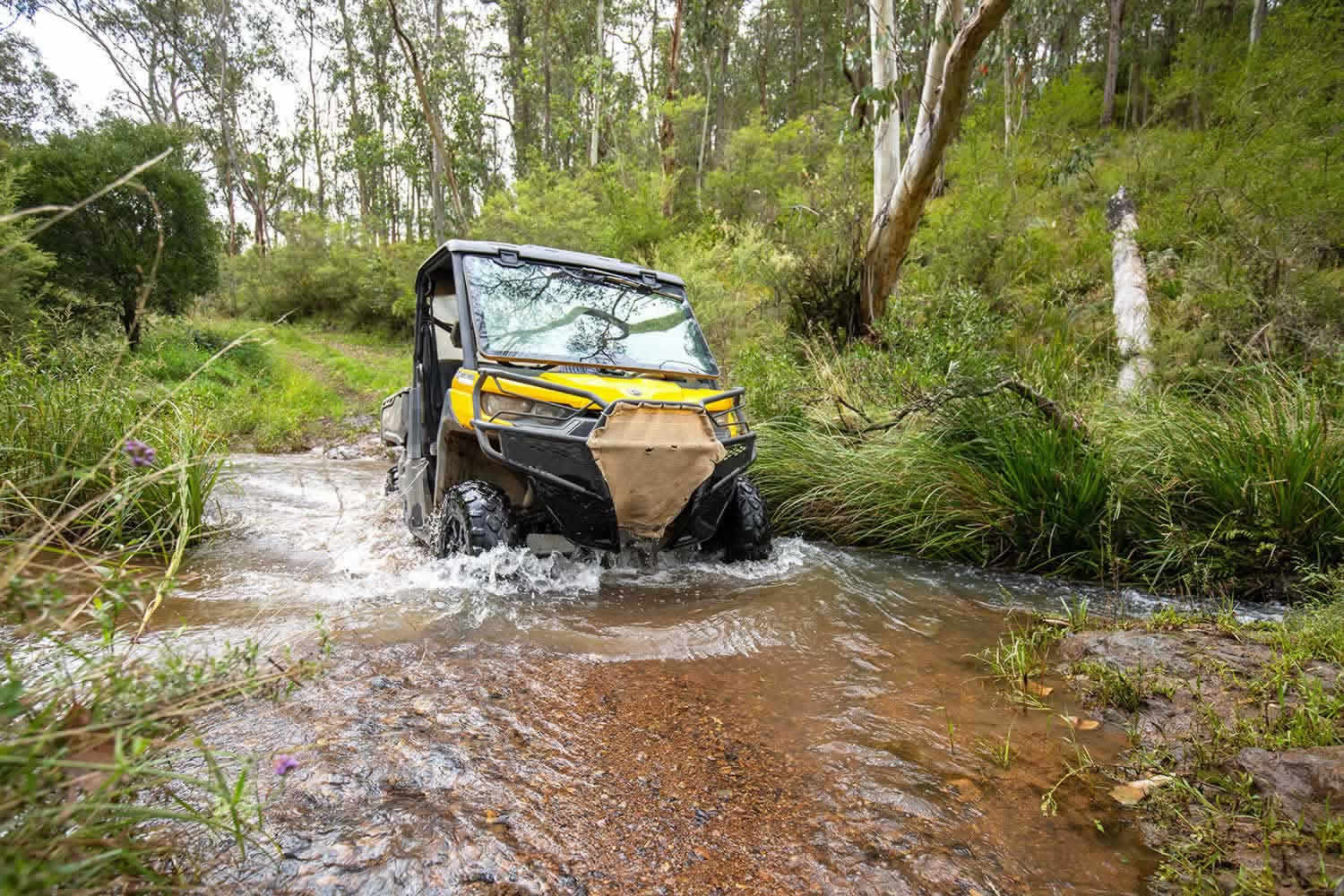 mcphee farms for sale Walcha, Yarrowitch,Northern NSW
