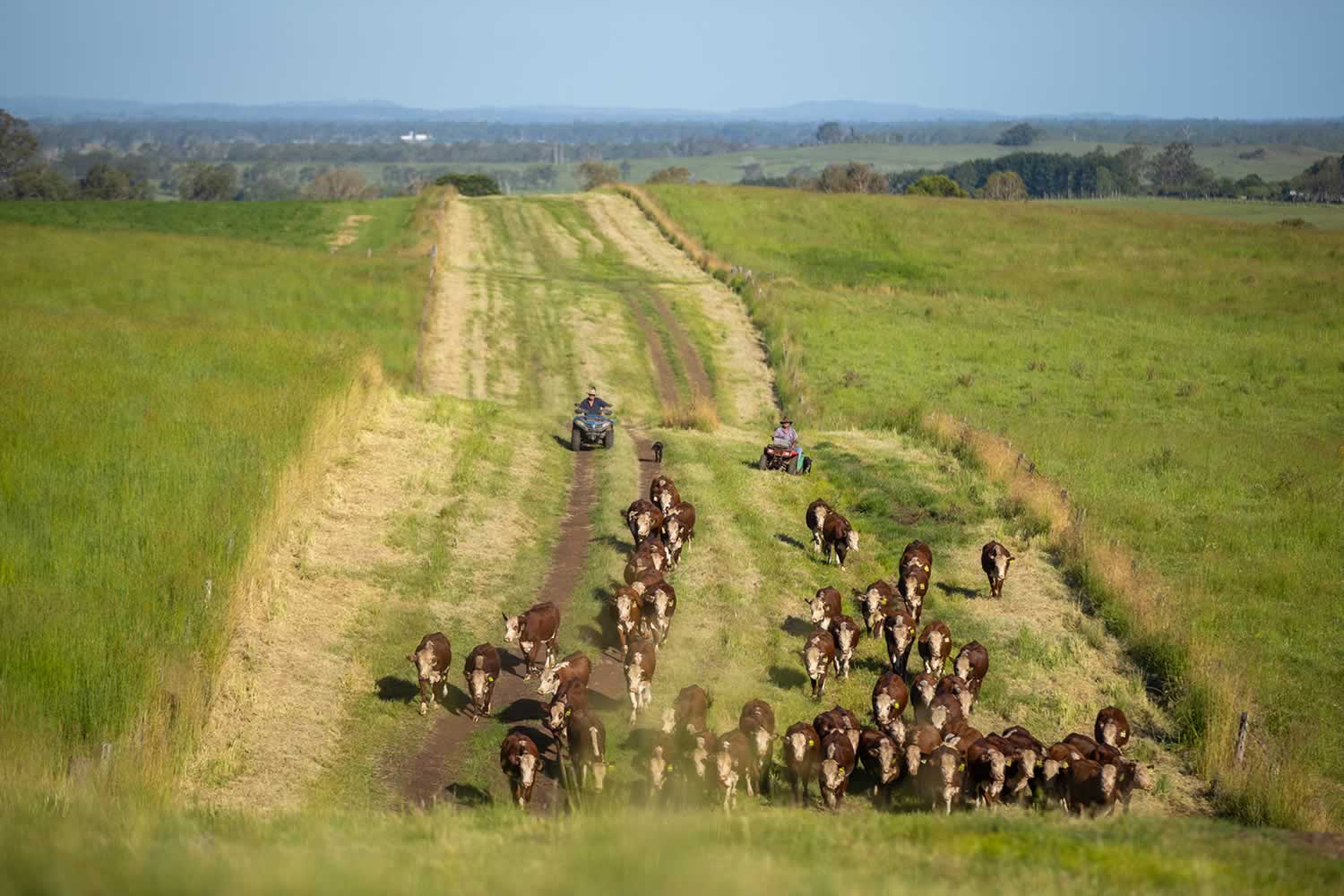 Avoca Vale Farms - Casino NSW property for sale
