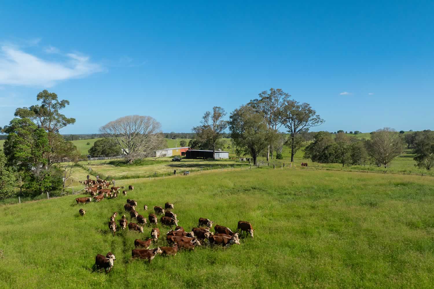 Avoca Vale Farms - Casino NSW property for sale