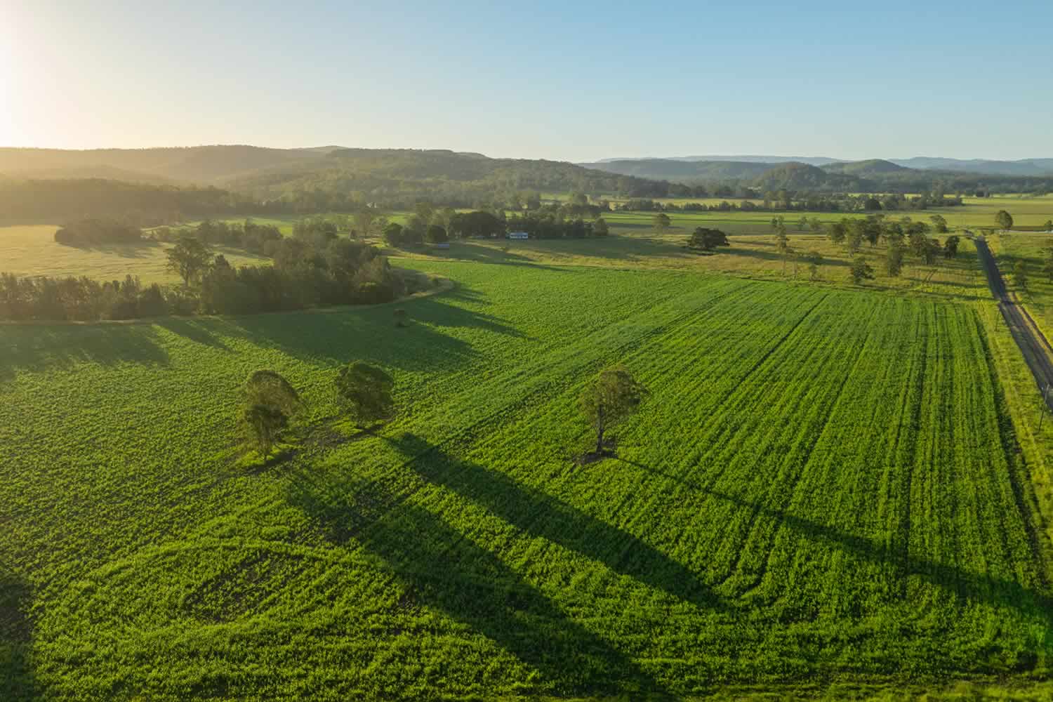 Avoca Vale Farms - Casino NSW property for sale
