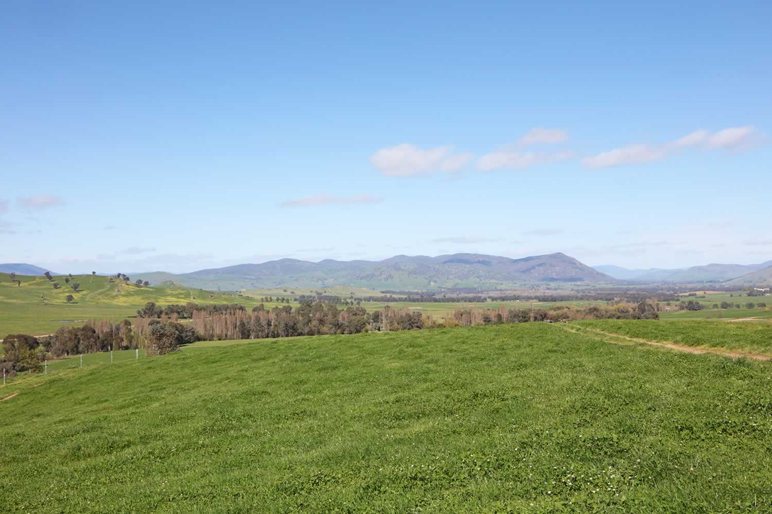ardenside-for-sale-1