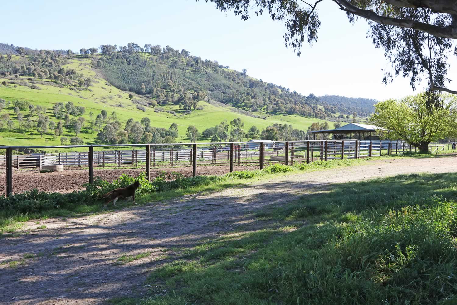 ardenside-for-sale-6