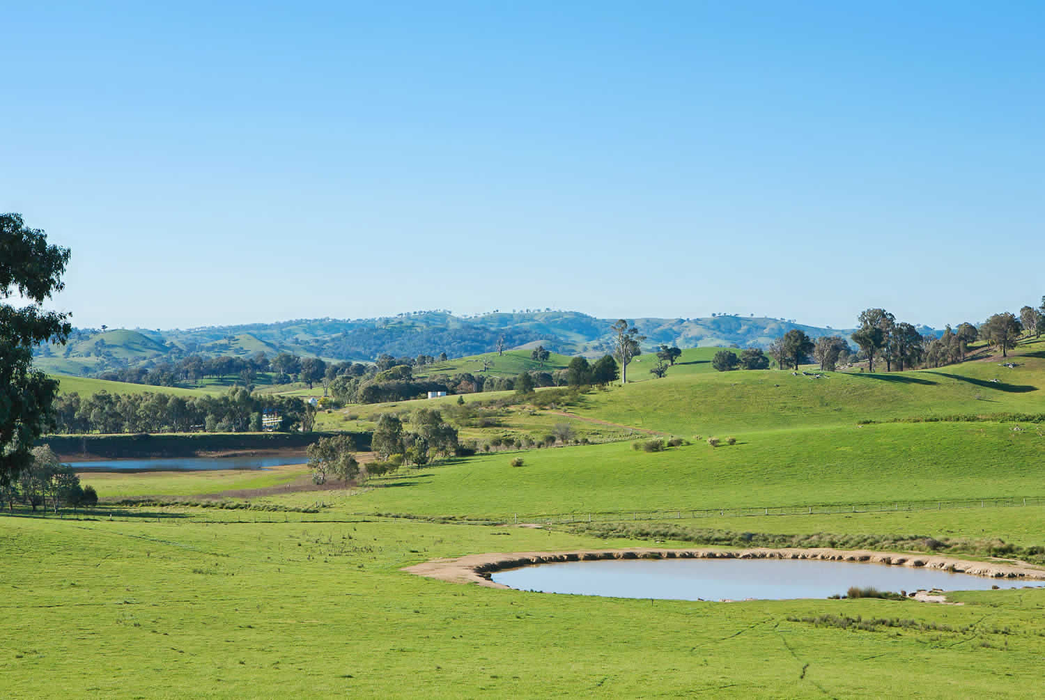 Rural Property for Sale - Strathvean - Riverina NSW
