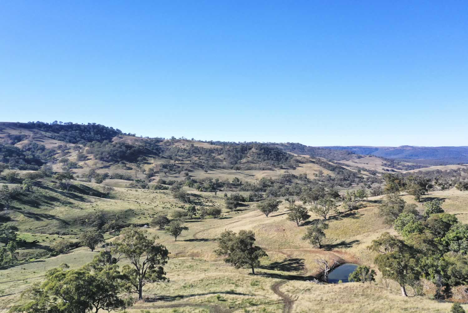 Property for Sale Hunter Valley NSW - Gibbergunyah