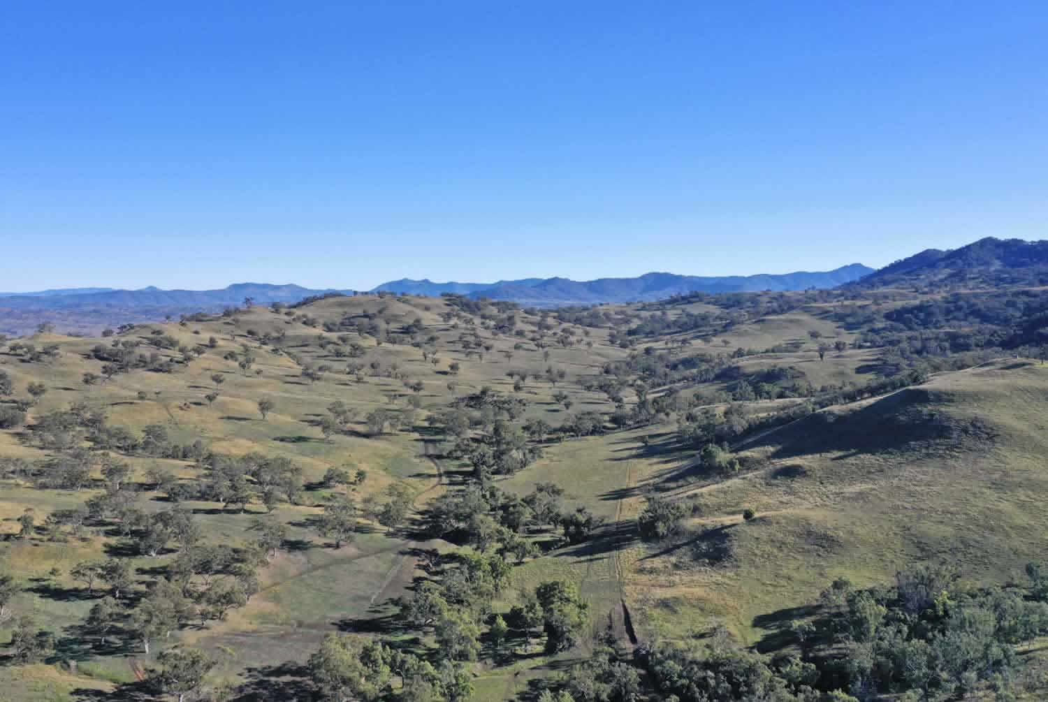 Property for Sale Hunter Valley NSW - Gibbergunyah