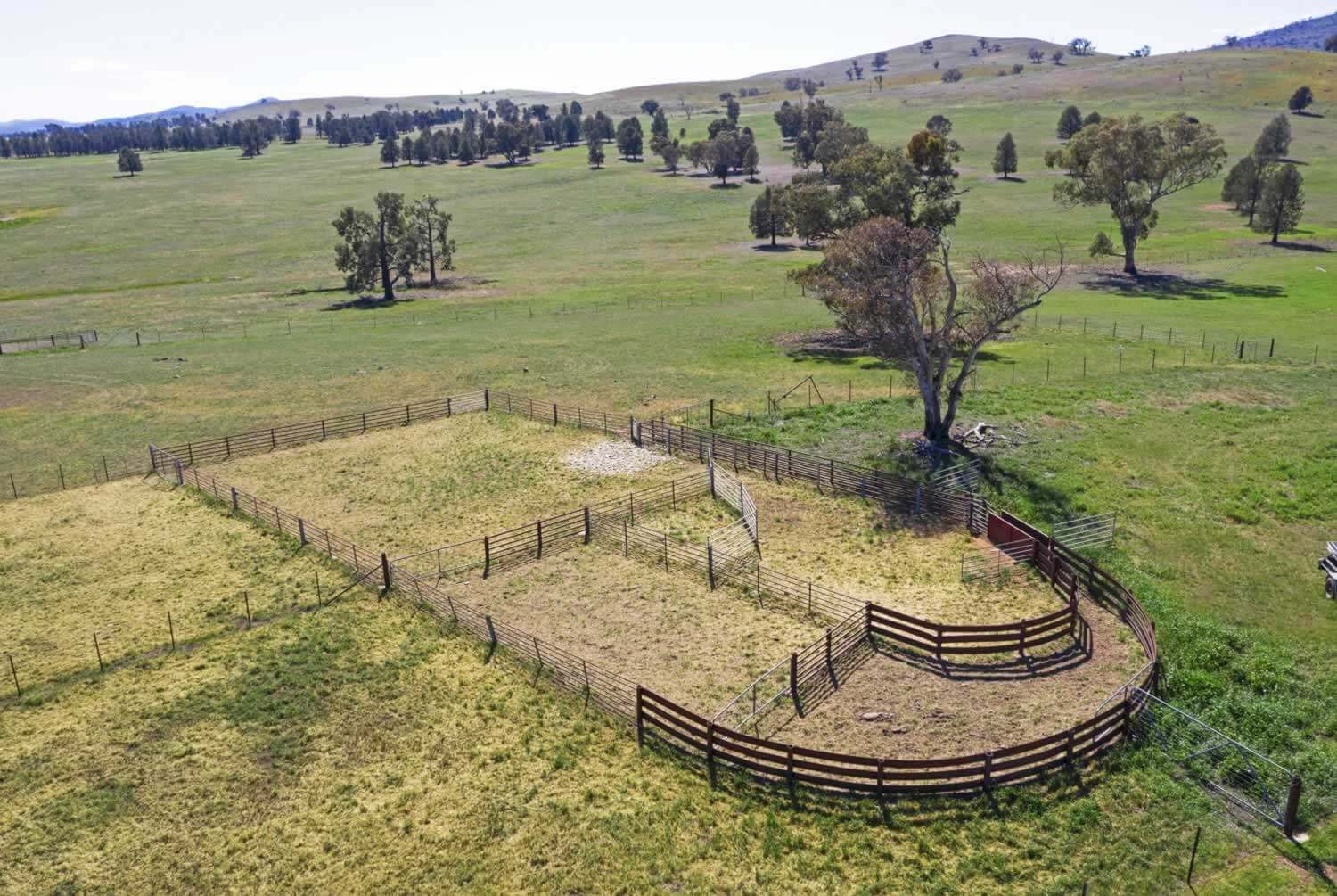 Property for sale Riverina NSW - Coreena East