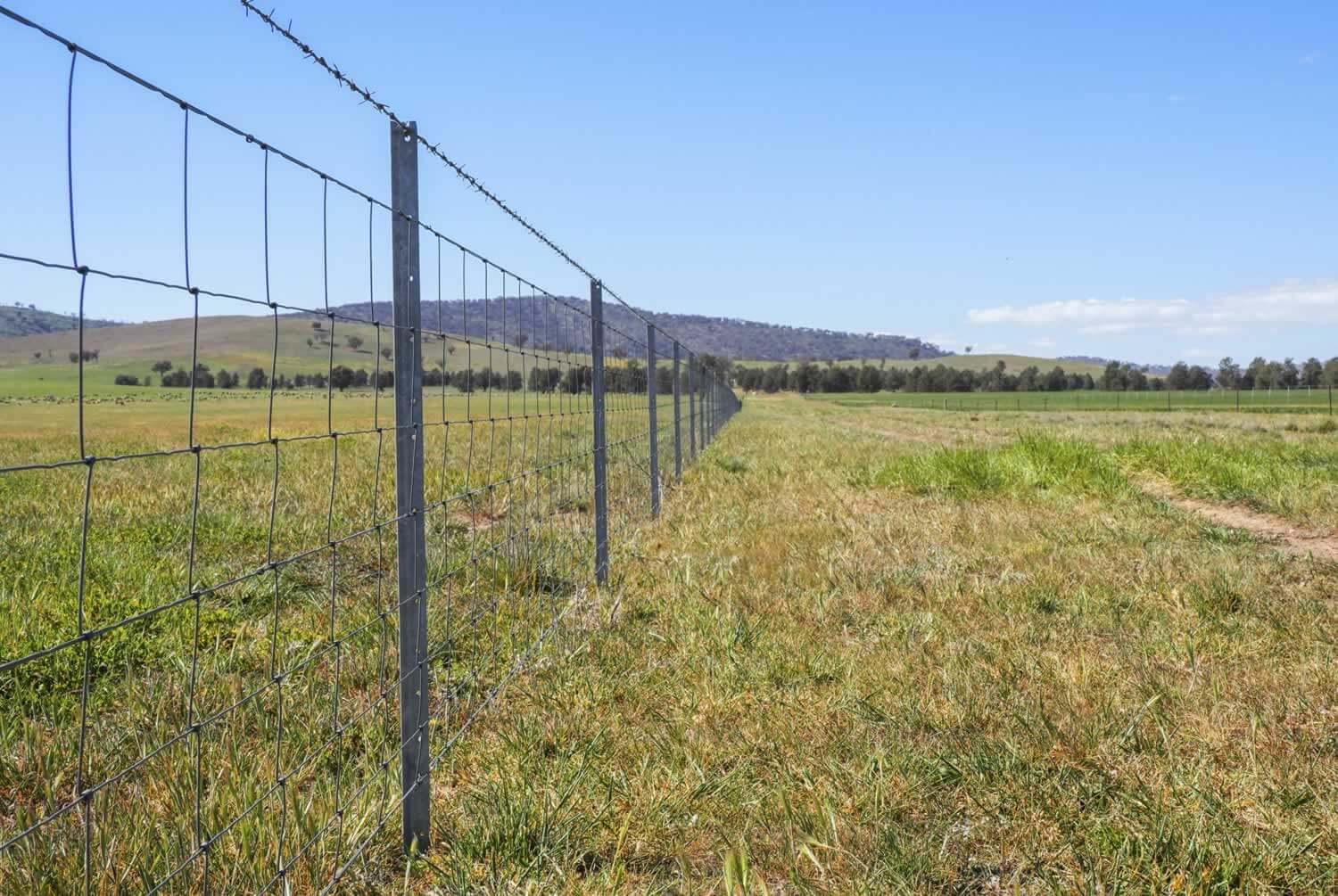 Property for sale Riverina NSW - Coreena East