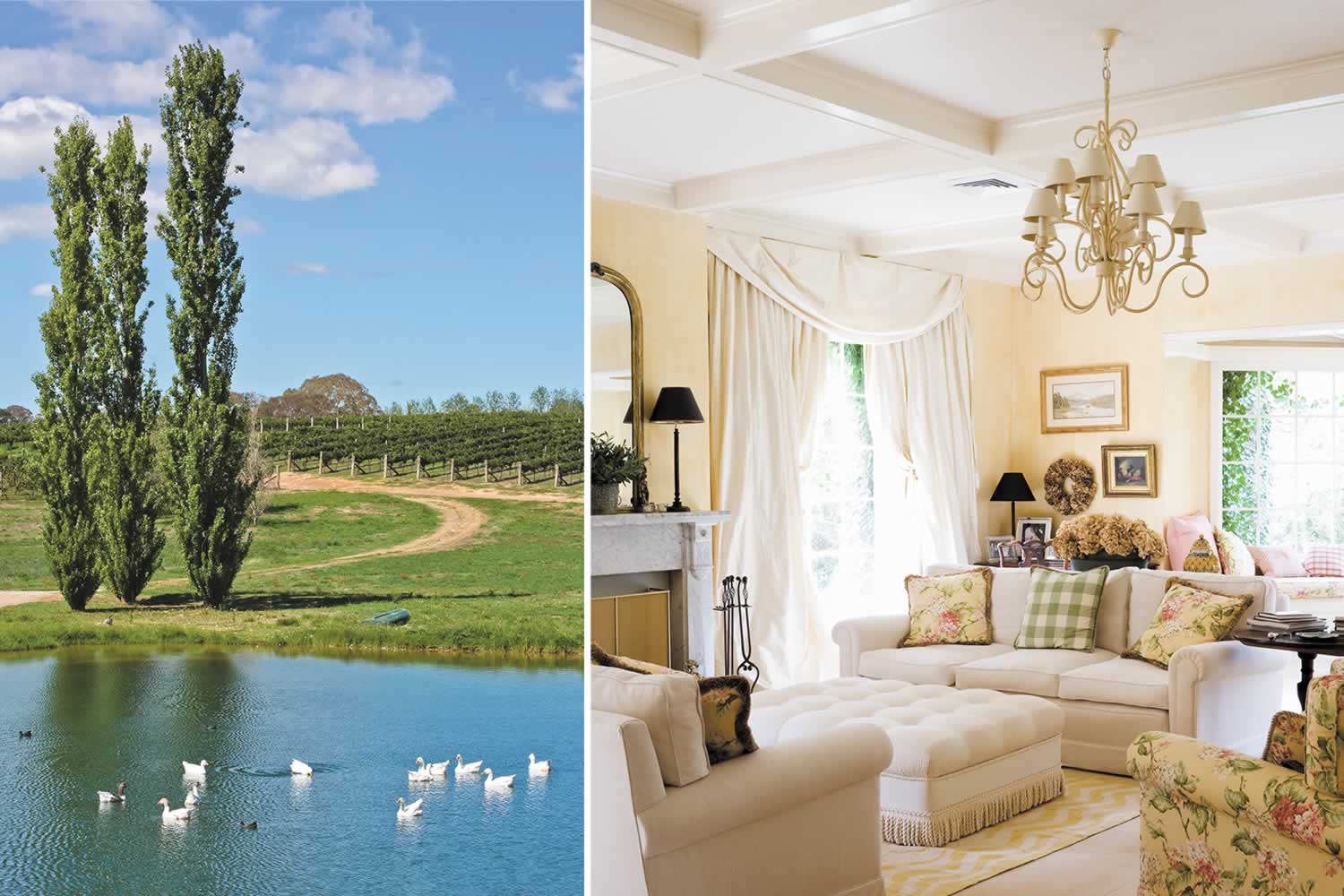 mayfield estate property for sale nsw