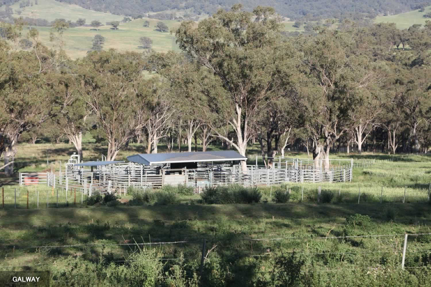rural-property-sale-nsw-Inverary-G2