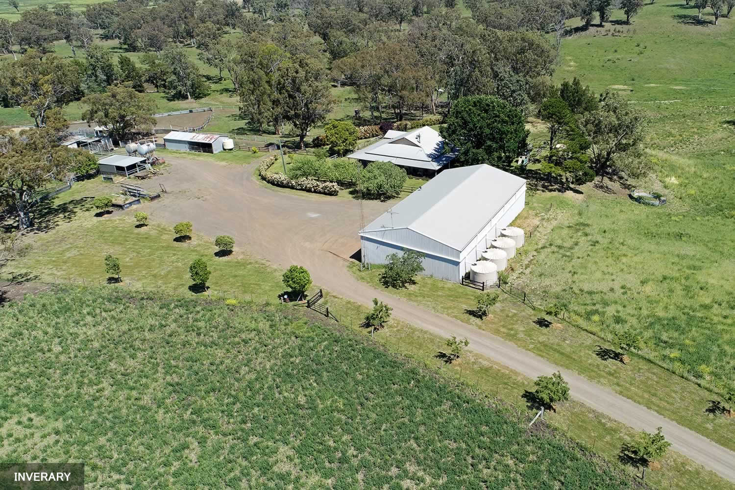 rural-property-sale-nsw-Inverary-I3