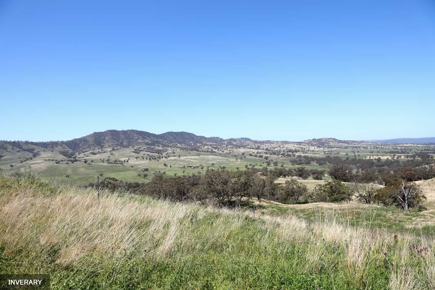 rural-property-sale-nsw-Inverary-I4