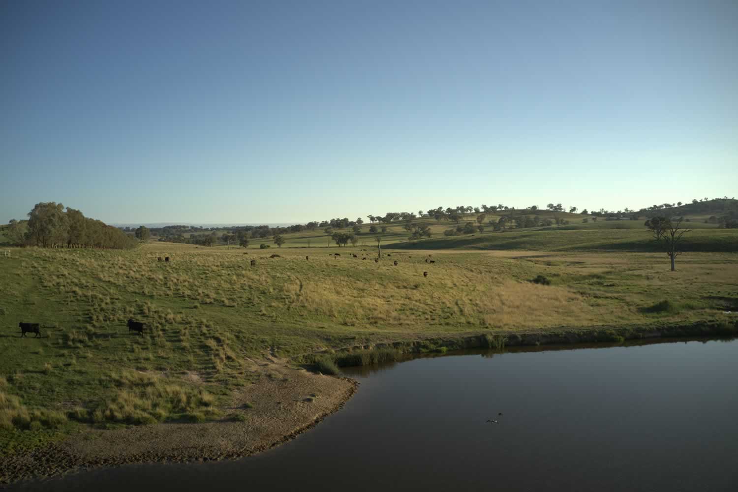 Rural Property for Sale - Cowra - Woodstock NSW