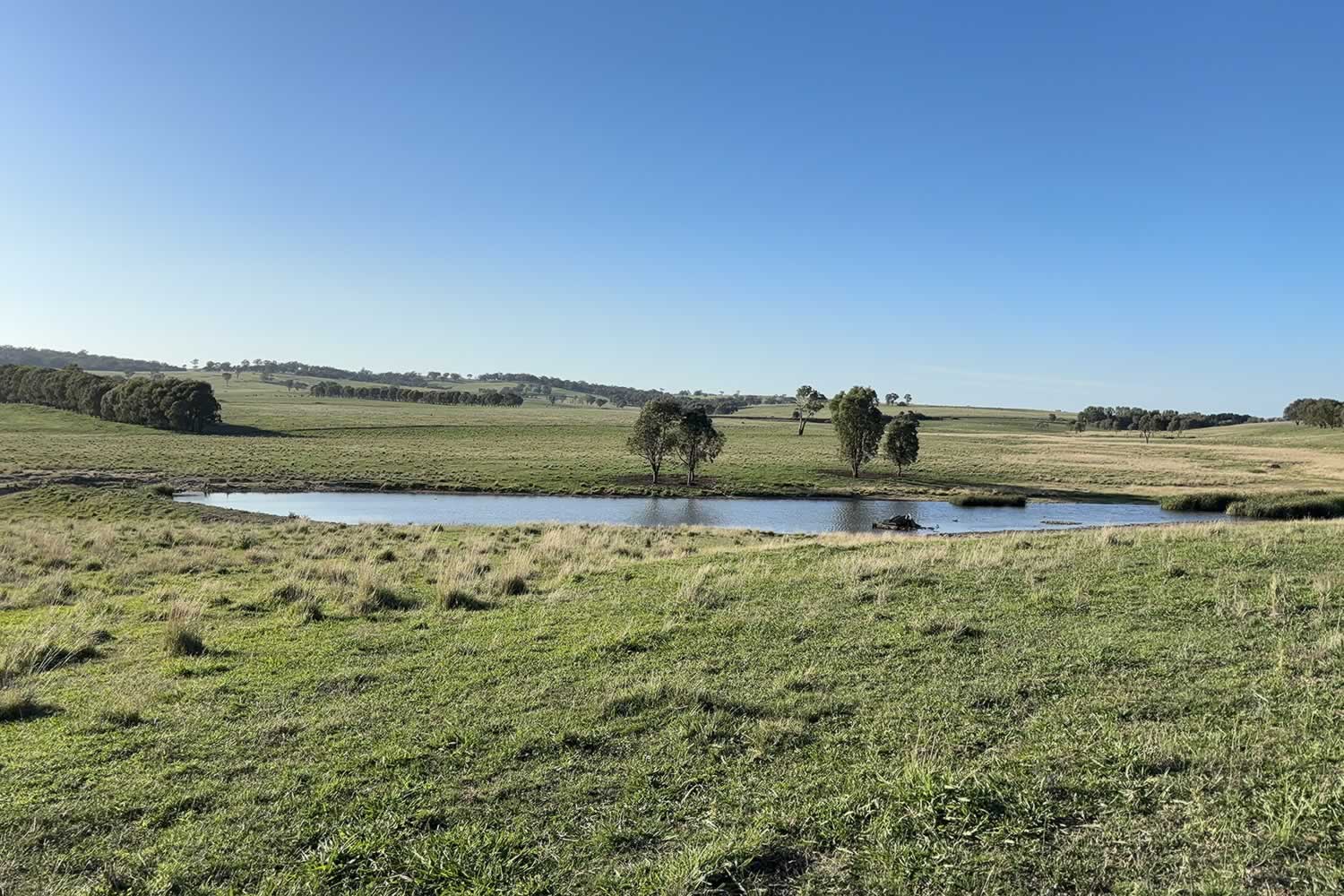 swan-ponds-property-for-sale-4
