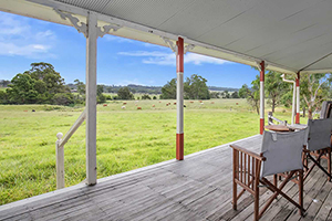 Avondale Legume NSW