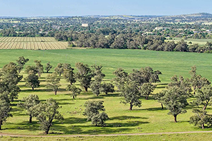 Ardenside Station, Tooma, Upper Murray NSW
