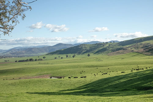 Murray Region